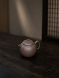 Handmade Artisan Design Yixing Zisha Teapot – Qinghui Duanni Clay, 110ml