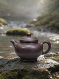 Handmade Duozhi Yixing Zisha Teapot – Shihong Clay, 150ml