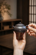 Handmade Fan Lian Wu Xiang Yixing Zisha Teapot – Tianqingni Clay, 100ml