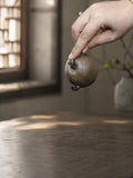 Sculptural Form Yixing Zisha Teapot – Duanni Clay, 80ml