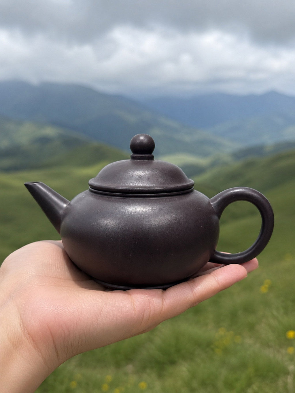 Handmade Shuiping Yixing Zisha Teapot – Hei Duntou Clay, 200ml