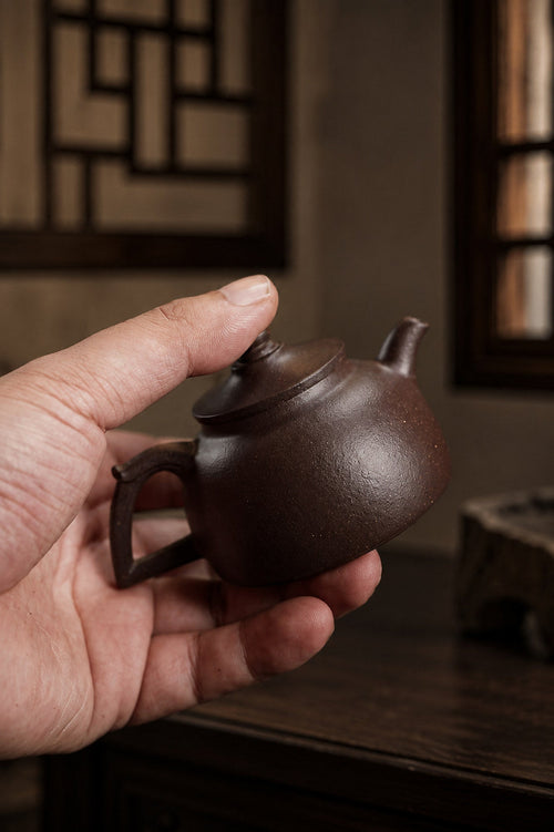 Handmade Da Bin Tian Xiang Yixing Zisha Teapot – Aged Zini Clay, 100ml