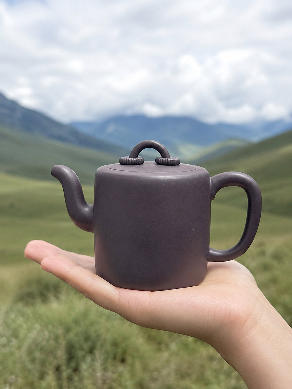 Handmade Shuang Quan Yang Tong Yixing Zisha Teapot – Hei Duntou Clay, 330ml