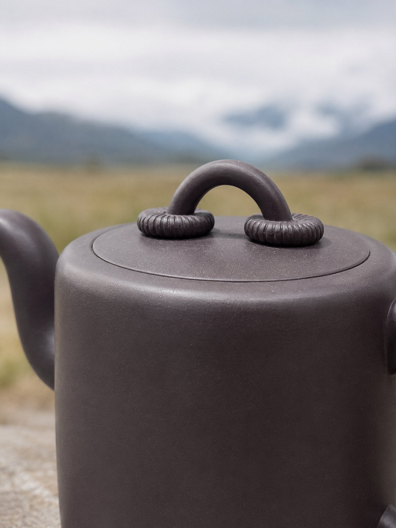 Handmade Shuang Quan Yang Tong Yixing Zisha Teapot – Hei Duntou Clay, 330ml