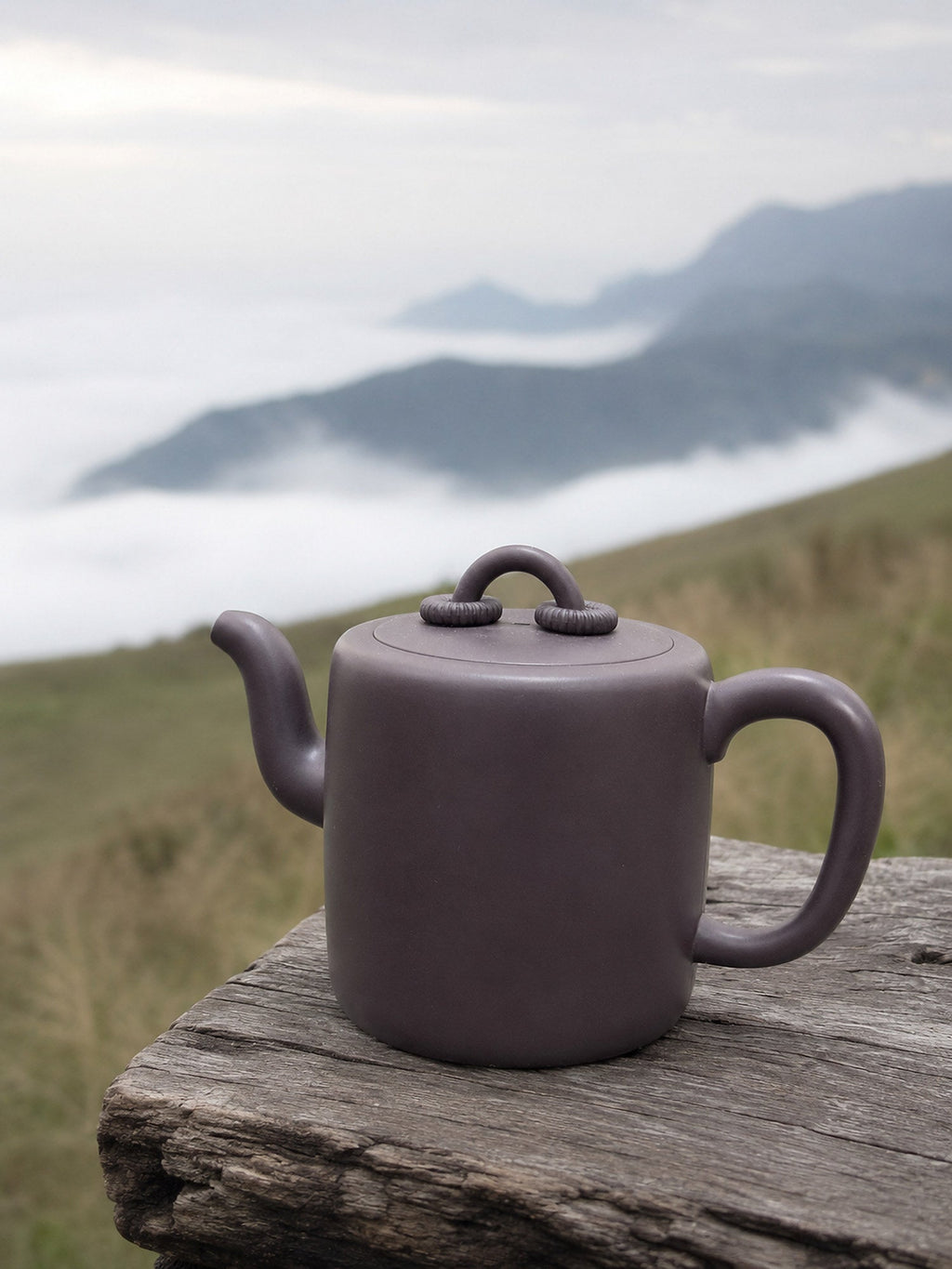 Handmade Shuang Quan Yang Tong Yixing Zisha Teapot – Hei Duntou Clay, 330ml