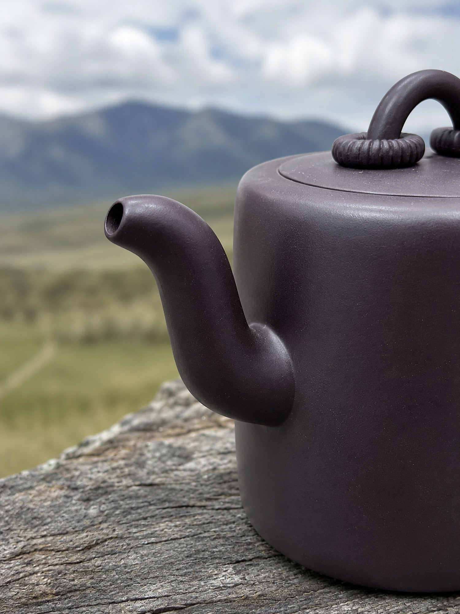 Handmade Shuang Quan Yang Tong Yixing Zisha Teapot – Hei Duntou Clay, 330ml